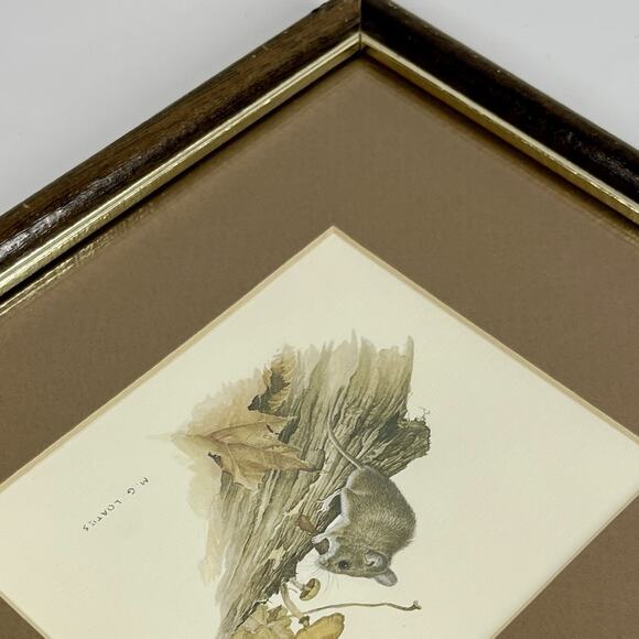 MG Loates Vintage 1970s Framed Print Mouse Mushrooms Woodland Animal 10.75x9” - Picture 8 of 9